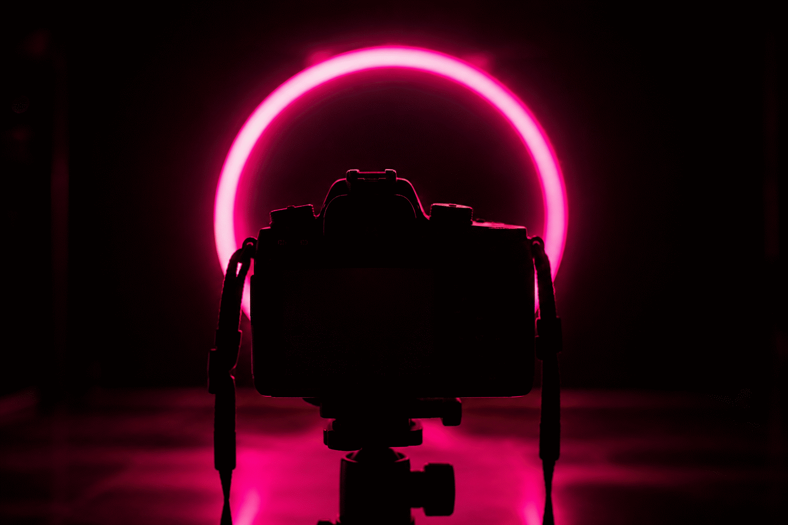 Neon on Black Background — visual for the section “The Photography Bonus (Why Black Reads So Good on Camera)”: dark scene, glowing neon focal point, shallow depth of field