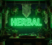 Dark scene with a glowing forest green neon sign reading HERBAL